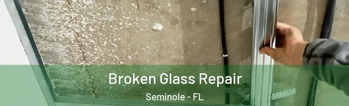  Broken Glass Repair Seminole - FL