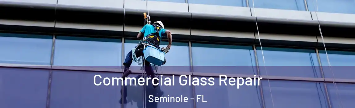 Commercial Glass Repair Seminole - FL