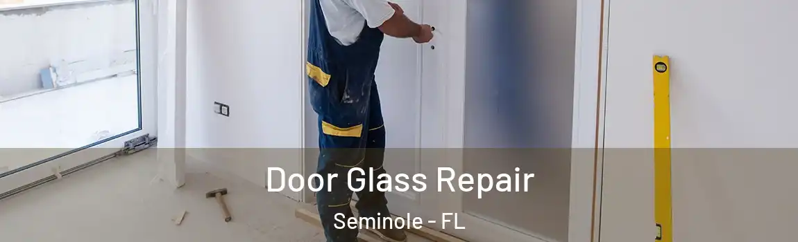 Door Glass Repair Seminole - FL