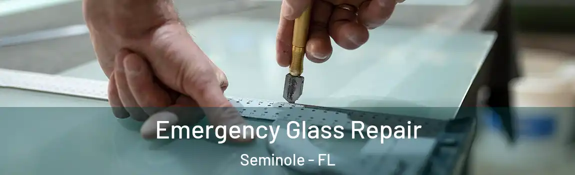 Emergency Glass Repair Seminole - FL