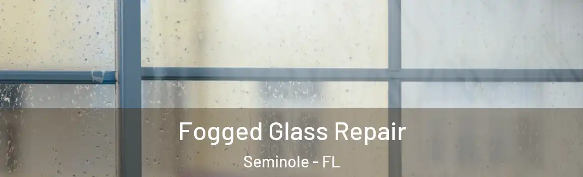 Fogged Glass Repair Seminole - FL
