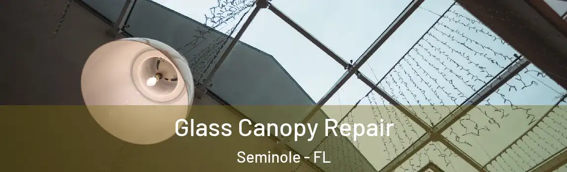  Glass Canopy Repair Seminole - FL