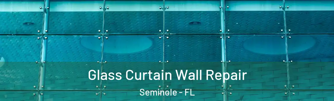  Glass Curtain Wall Repair Seminole - FL