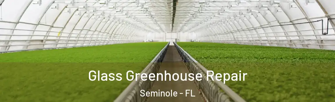  Glass Greenhouse Repair Seminole - FL