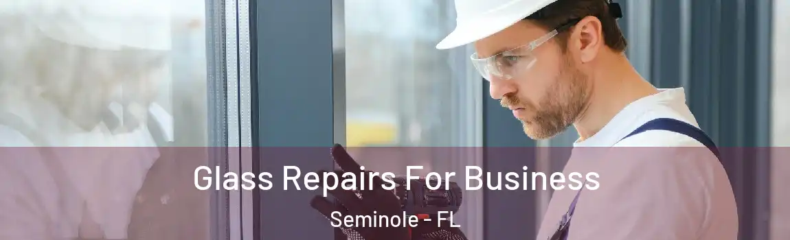  Glass Repairs For Business Seminole - FL