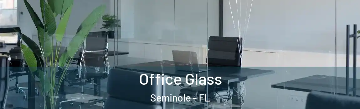  Office Glass Seminole - FL