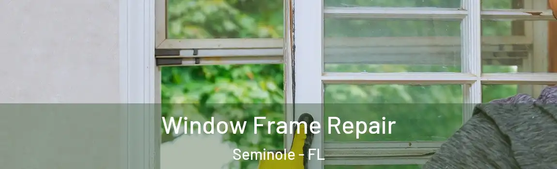 Window Frame Repair Seminole - FL