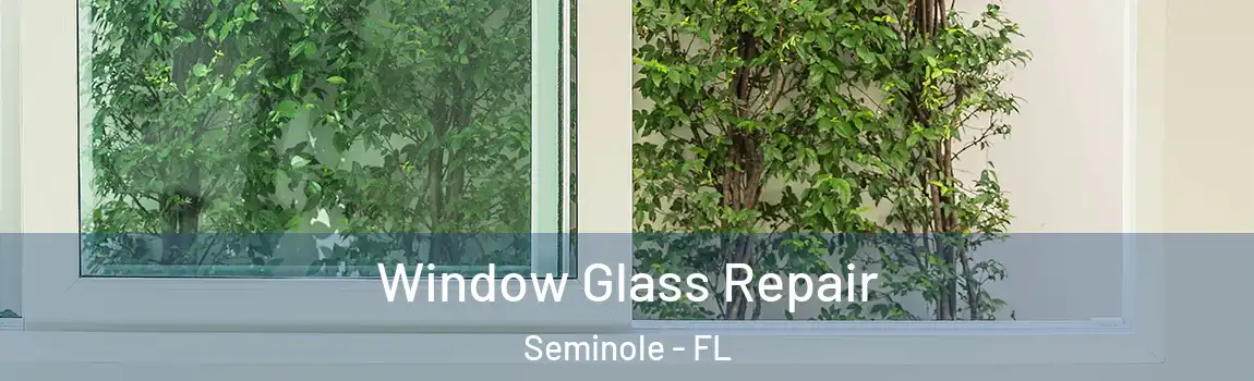 Window Glass Repair Seminole - FL