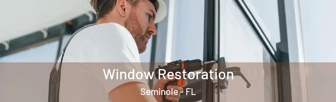  Window Restoration Seminole - FL
